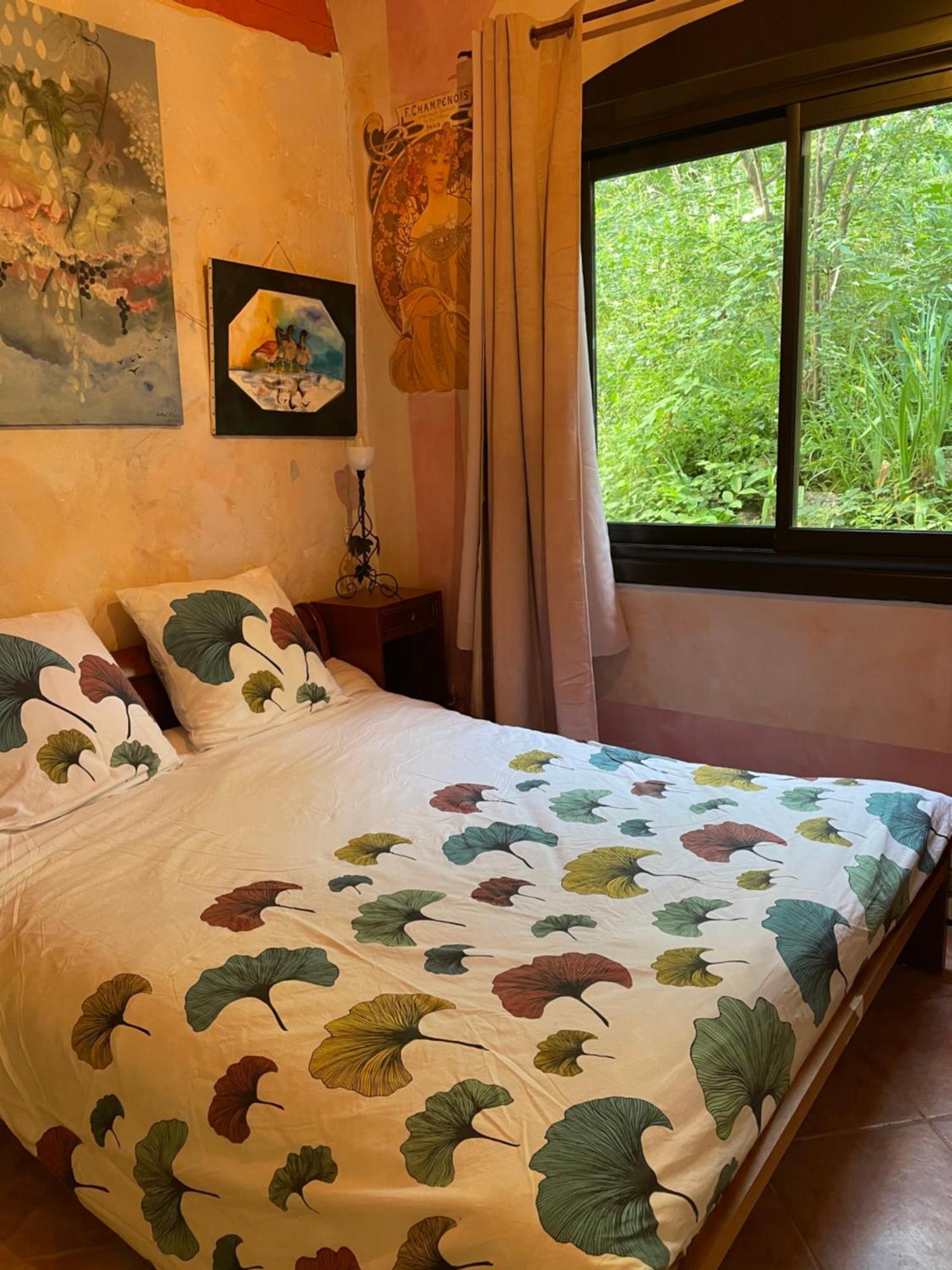 Domaine St Georges Mosset Quarto foto
